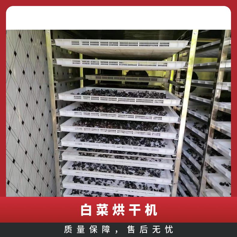 新款农用空气能白菜烘干机 蔬菜干燥节能设备 采用热风循环 均匀度好