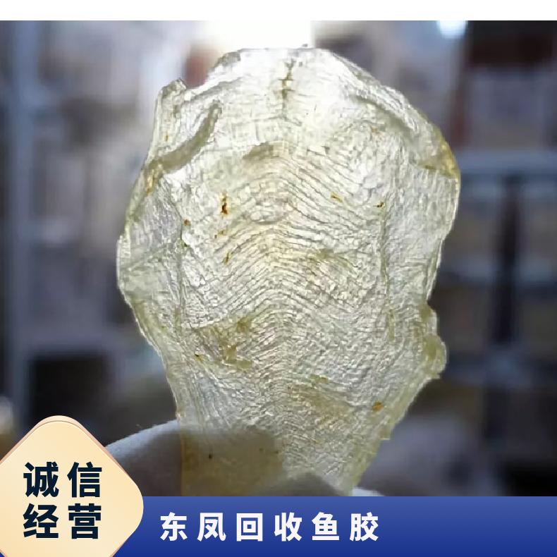 回收鱼胶虫草燕窝海参 通风 净重500 酒精含量10 马爹利xo 盒装