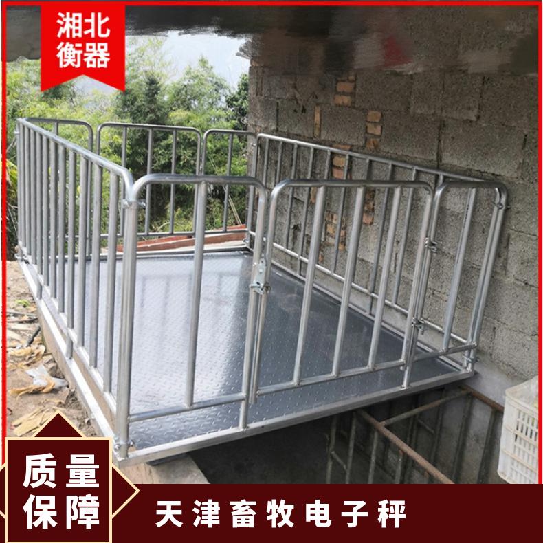 湘北衡器交直流两用便携式动物秤1000kg电子磅秤