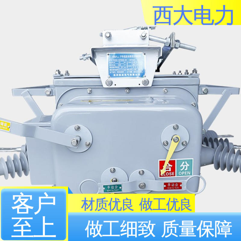 轻巧耐用 安装灵活 高压真空断路器 ZW20-12F 西大电力