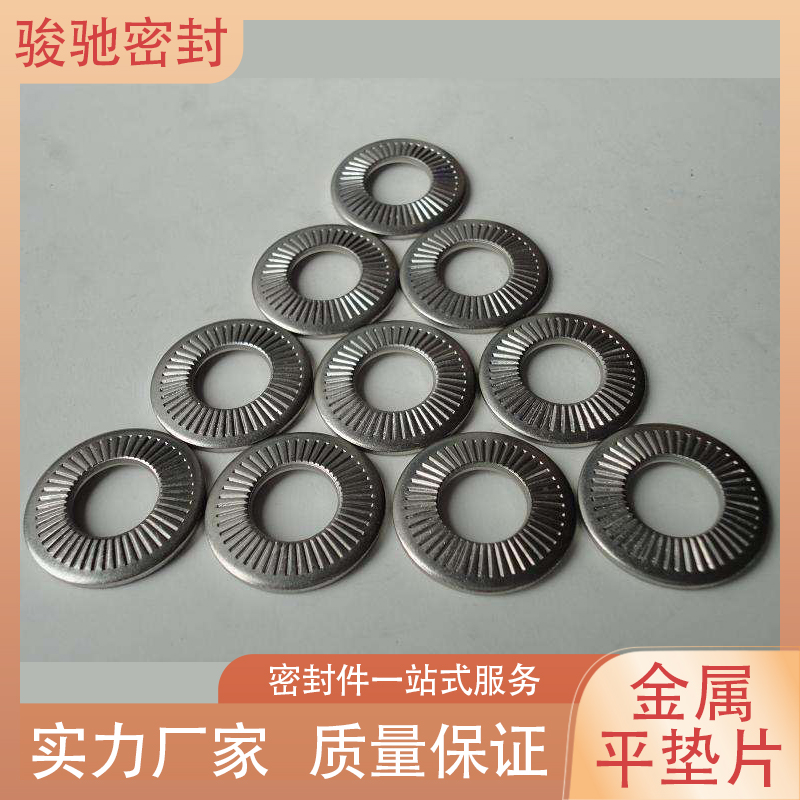 骏驰密封材料 金属平垫片 机械工业用紧固件 一体成型