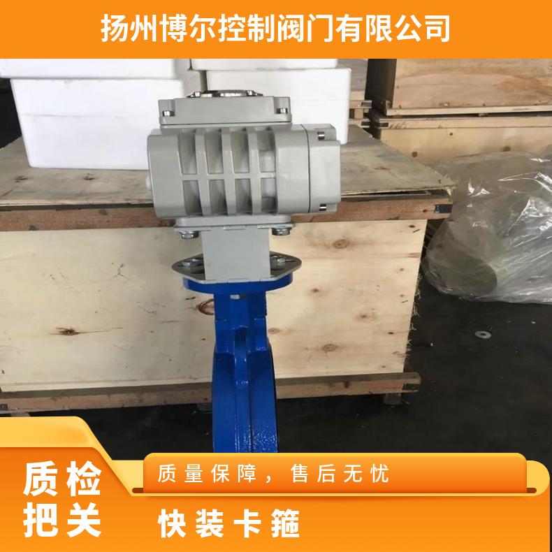 防爆电动快装球阀 卫生级卡箍球阀Q981F-16P-DN63