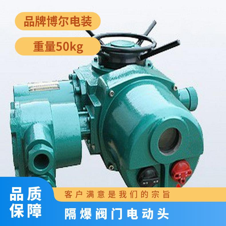 隔爆电动执行器ZC180T-18/20AB防爆装置 250隔爆