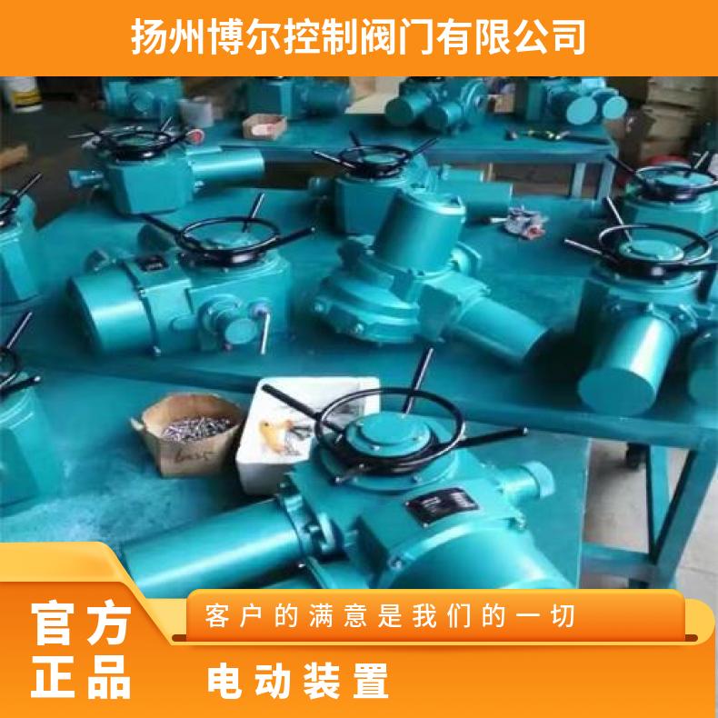 DJW6000、8000电动装置 2SQ30DKJ/ZKJ 法兰 其他博尔 5kg~500kg