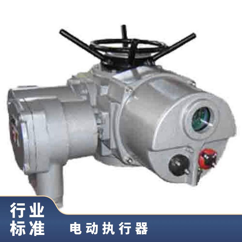 闸门电动机 Z系列调节型电动闸板阀执行器 DZW/ZWZB 其他博尔