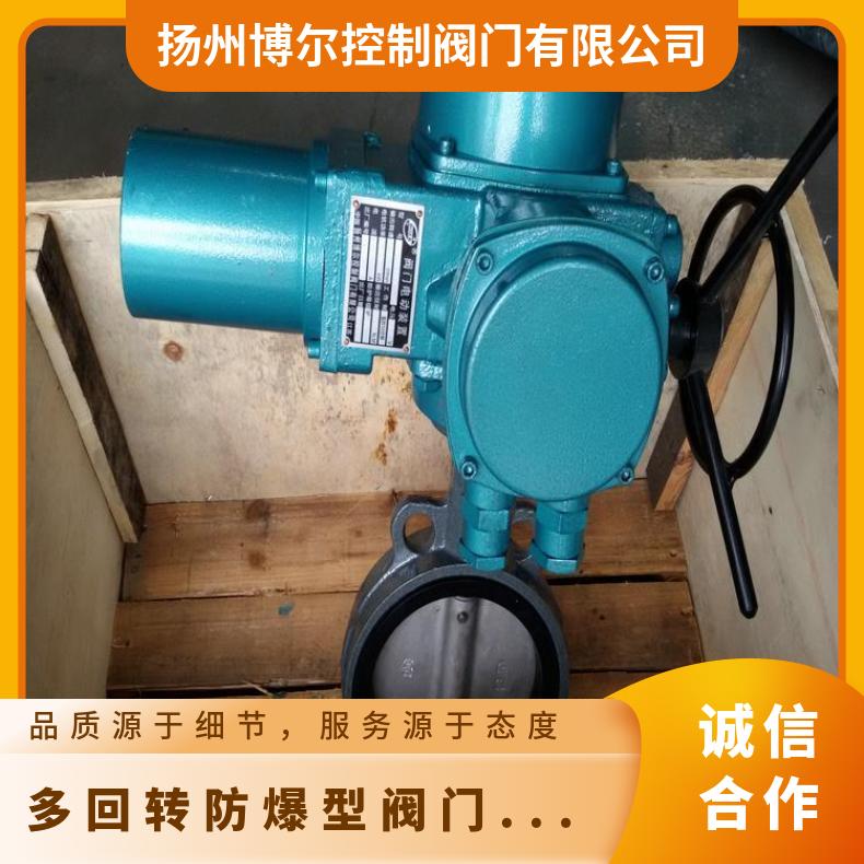 矿用防爆型电动装置 执行器 ZB/QBDZBDQB 法兰 其他博尔