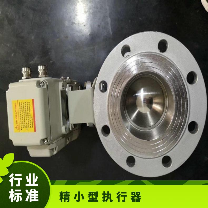 全开型精小型电动执行器150NmBOER-20 法兰 其他博尔 DZW/ZWZB