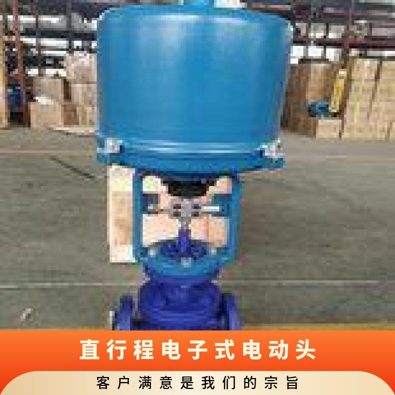 SKZ-510C电子式直行程阀门电动装置 DZW/ZWZB 其他博尔 5kg~500kg