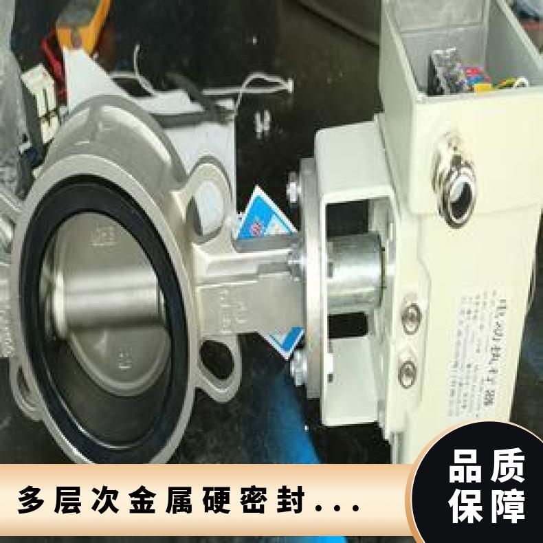 373H多层次金属硬密封蝶阀 铸钢 否 水 博尔 对夹 D341X