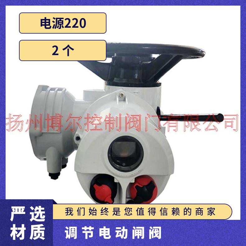 智能调节型电动闸阀Z941H-64C DN200 罗托克智能型执行器