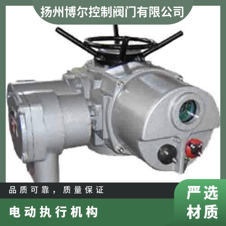 DZB60-24R隔爆电动装置 执行机构 博尔执行器