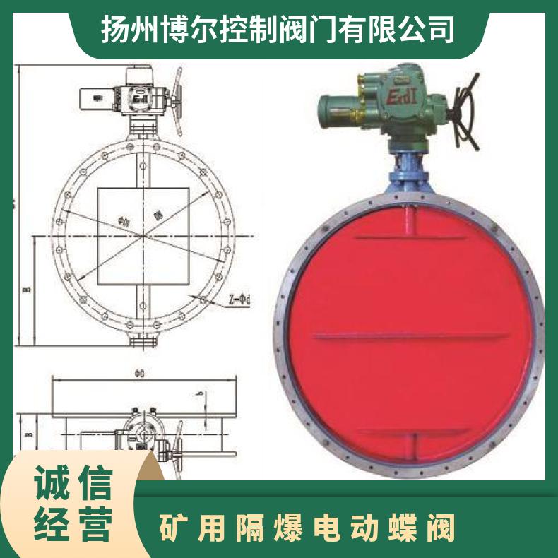 WSD94F-Q DN500矿用隔爆型瓦斯电动蝶阀 其他博尔 ZB/QBDZBDQB