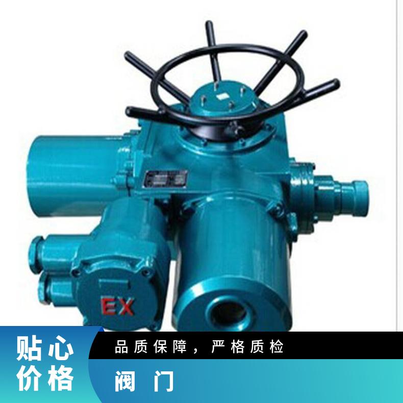 DZW45-24远程4-20mA信号推力型电动执行器 调节型装置