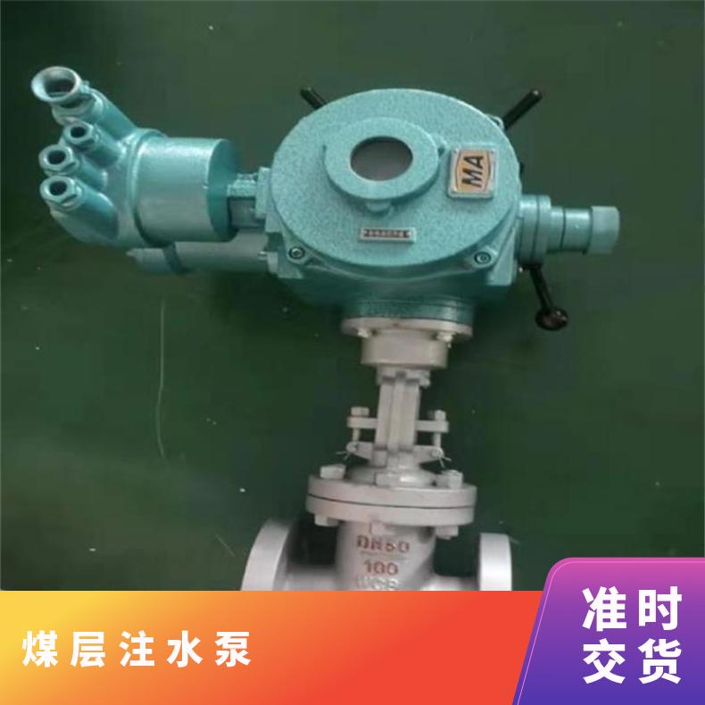 电动执行装置 DZW350-18-A00 T15 ZBZ/TI /T20 /TI
