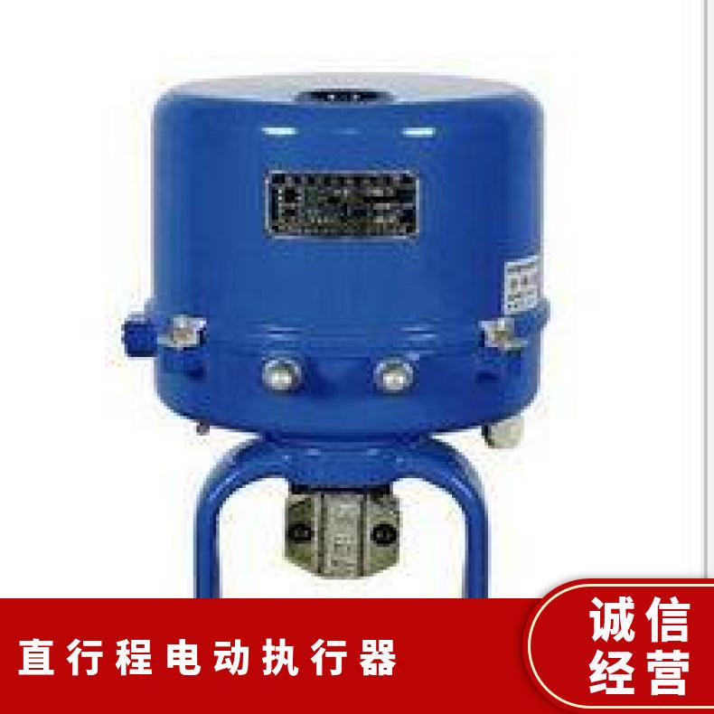 直行程电动执行器 调节阀执行机构带开关DKZ-410C-X