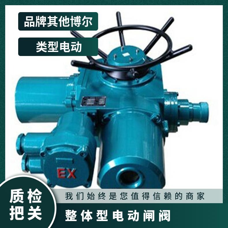 DZW250-24高压闸阀电动执行器 整体型多回转执行机构