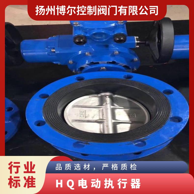 电动执行器 25型器 HQ16 40 法兰 -20℃~60 D941X 其他博尔
