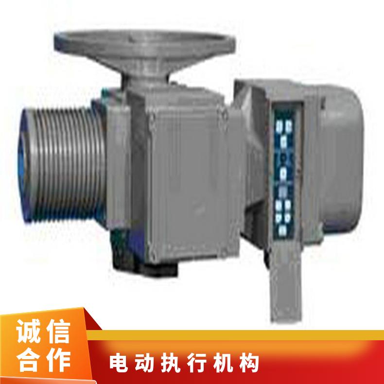 SA351+mu 智能型电动执行器 可以加工 5kg~500kg 2SQ30 其他博尔