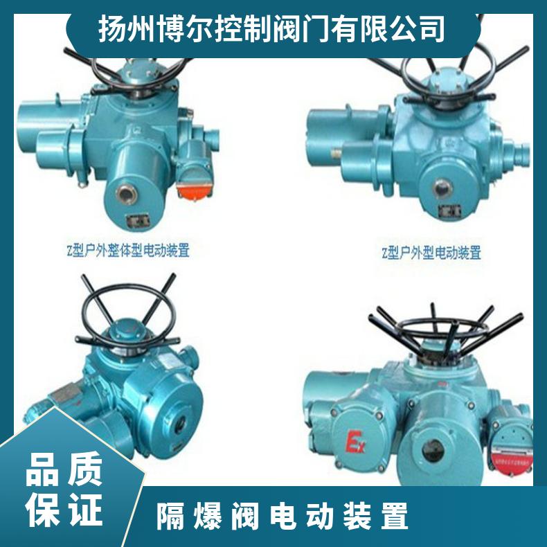 隔爆型电动装置DZB45执行器30/60 德国 是 200mm 博尔电装