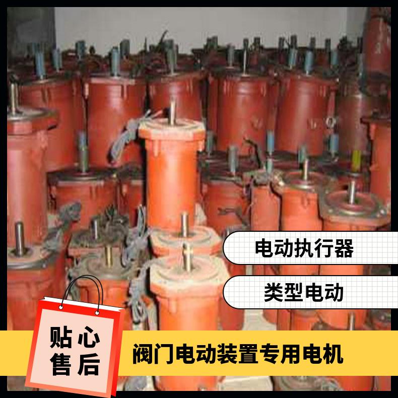电动装置DZW45-24WT专用电机 ZB/QBDZBDQB 其他博尔 5kg~500kg