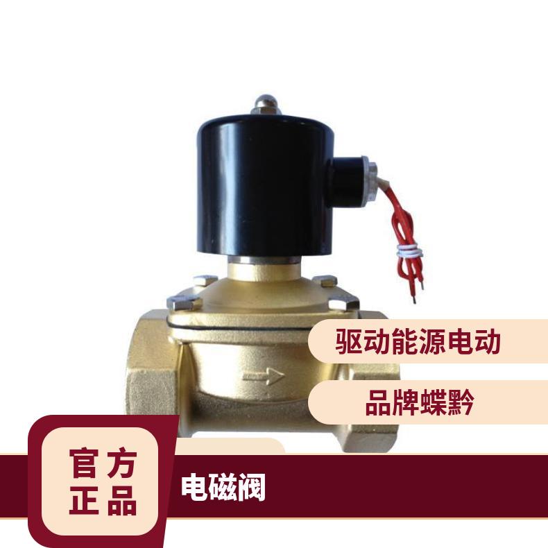 2W水用电磁阀2W-10 215 0 蝶黔 380 法兰 高温 电动执行器 是
