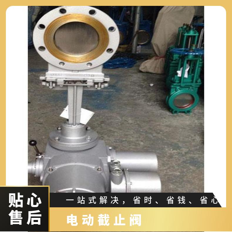 Z941W-16PDN100闸阀 法兰 380 电动执行器 常压 上海蝶黔