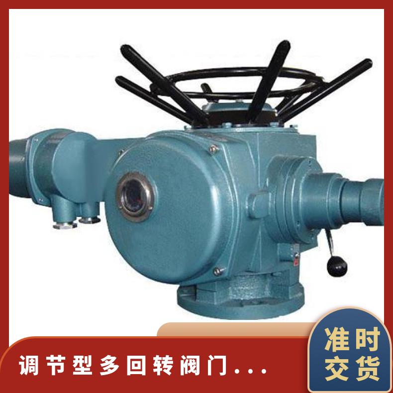 DZT350-24多回转机电一体化 智能调节型电动装置