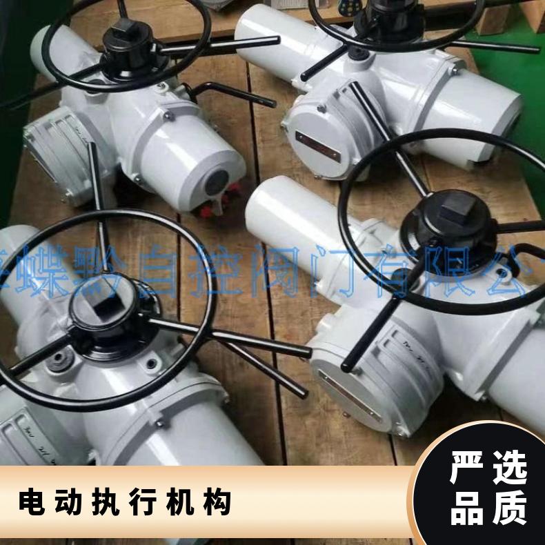 罗托克DQZK IQMLFA 电动执行机构 爱博德智能型执行器