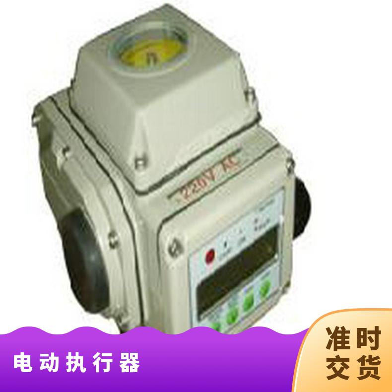 精小型电动执行器DADY-100 执行机构 上海蝶黔 -20℃~60 铝壳