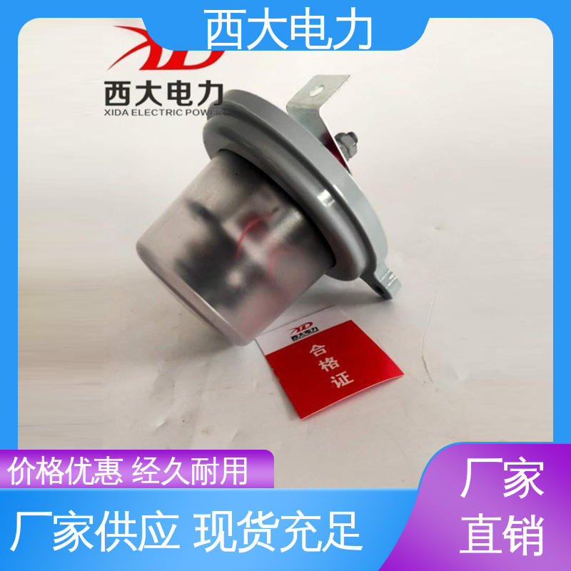 JCQ-10/800型 放电计数器在线监测仪 支持根据图纸定做 西大电力