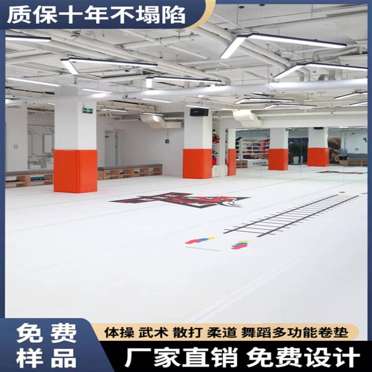 散打格斗运动跆拳道地垫摔跤拳击武馆柔道训练卷垫可定制
