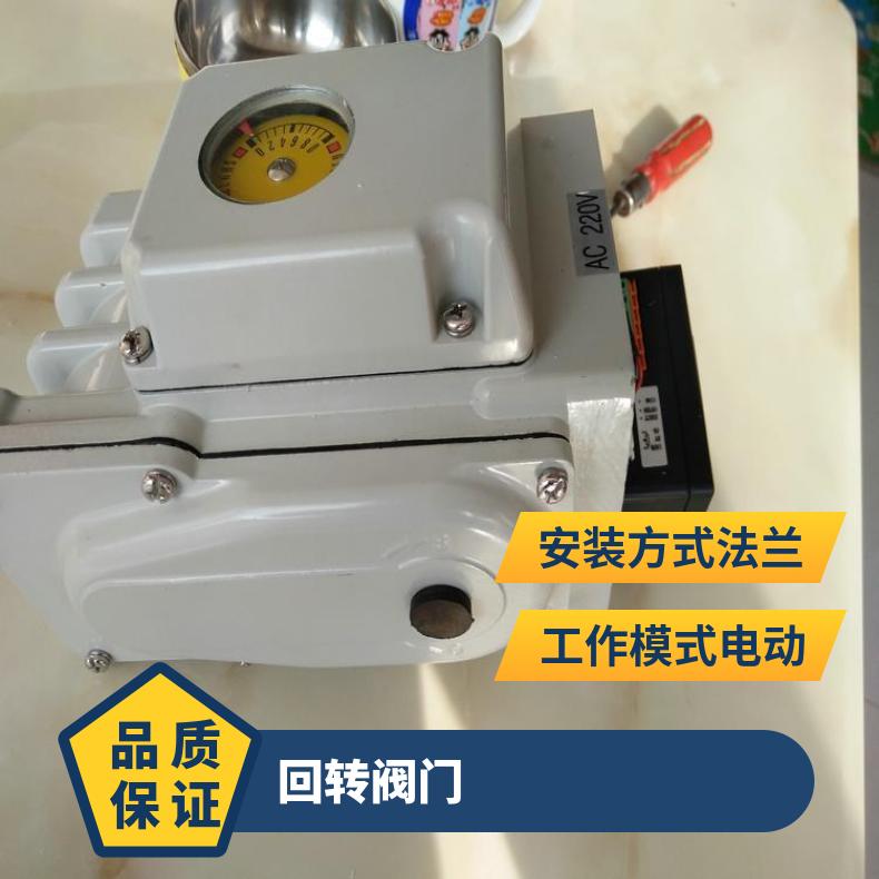 DQW40部分回转阀门装置 电动执行器 DZW/ZWZB 其他博尔 法兰