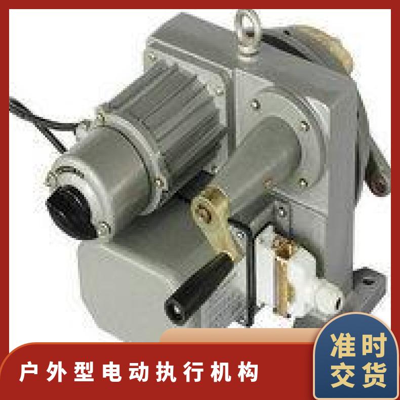 DKJ户外型电动执行机构 ZKJ-2100、DKJ-W开关型执行器