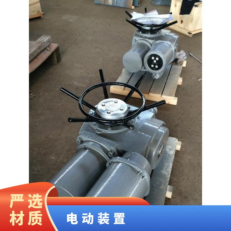 DZW45-24RZ 60-RB. 90电动装置 其他博尔 2SQ30DKJ/ZKJ 可以加工