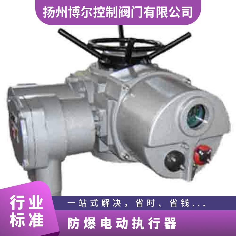 防爆执行器 电动装置DZB 阀门头 博尔电装 50kg 是 DZW120-18W/z