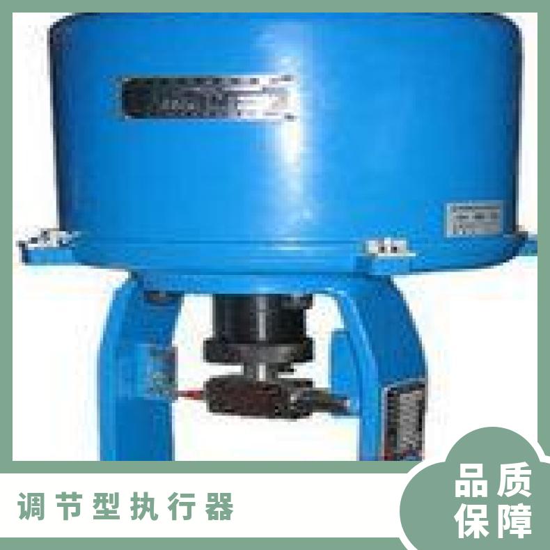 3810L(R)电子式电动执行器 博尔电装 DZW120-18W/z 是 50kg