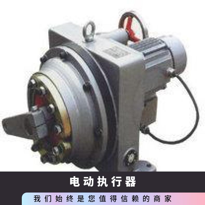 DKJ电动执行器(原理) 100-1000 其他博尔 法兰 可以加工