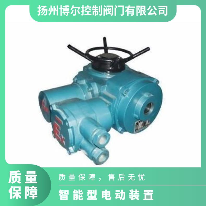 DZW45 60户外防雨型阀门电动装置 法兰 其他博尔 ZB/QBDZBDQB