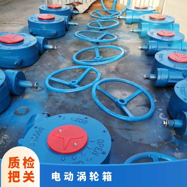 阀门涡轮头 QDX3-3手动装置单级配蝶阀 双级配球阀电动箱