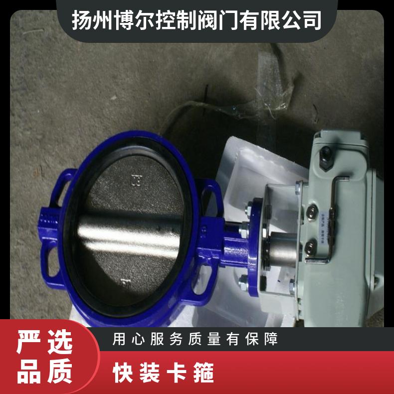 防爆电动快装球阀 卫生级卡箍球阀Q981F-16P-DN65
