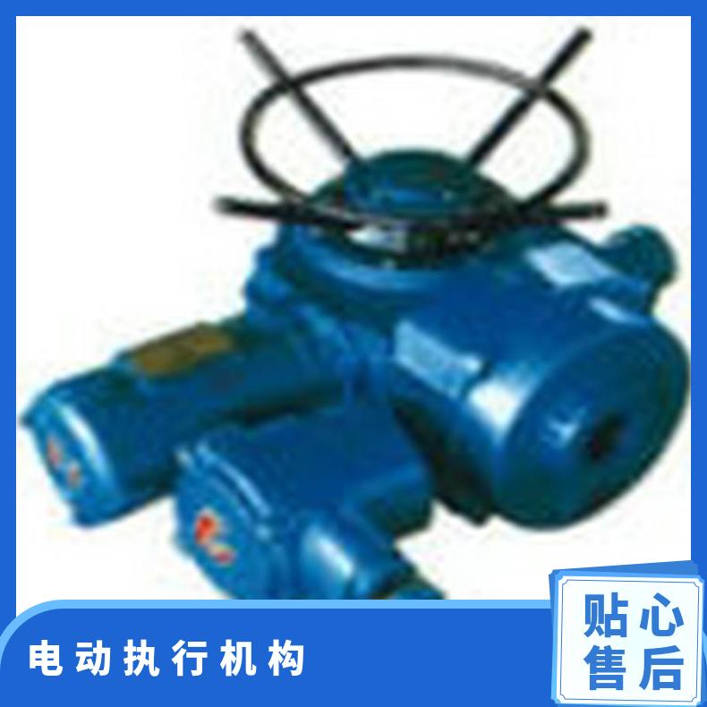 供应DZW60-DIS 90-DSI 电动装置制造商 50kg 是 博尔电装