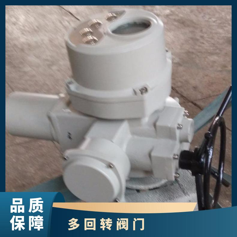 DQW6300 DZW阀门电动装置 可以加工 法兰 5kg~500kg 其他博尔