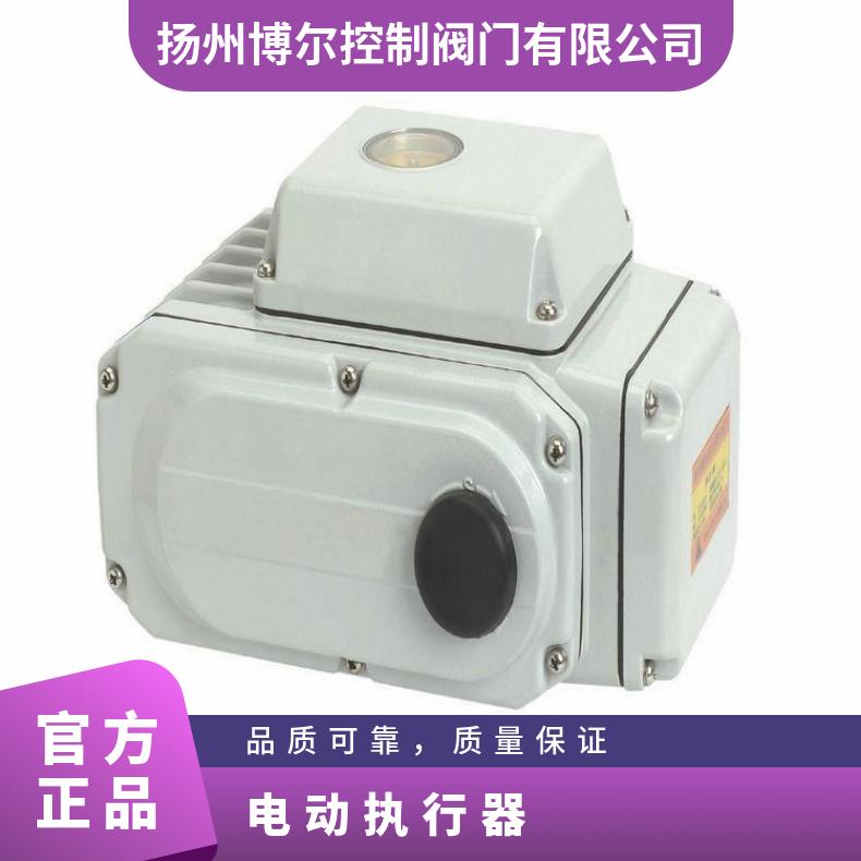 BOER-60P精小型智能调节电动执行器 5kg~500kg DZW/ZWZB 其他博尔