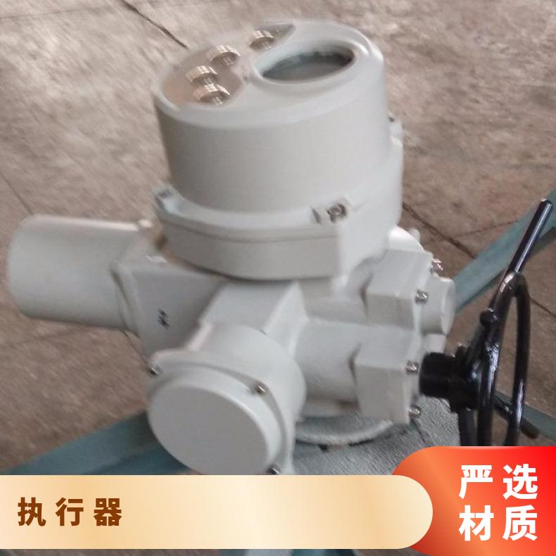DQW200-1B防爆型电动执行器 其他博尔 2SQ30DKJ/ZKJ 可以加工 法