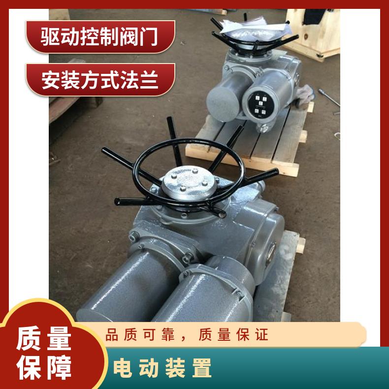 隔爆电动装置DZW-18RB -24 RZ执行器 2SQ30DKJ/ZKJ 其他博尔