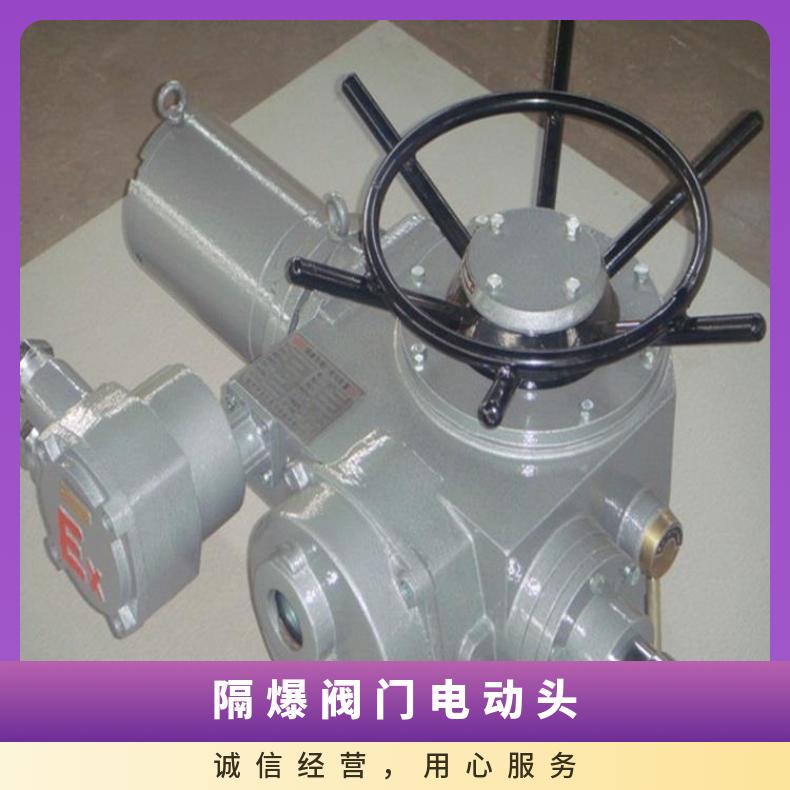 ZC180电动装置 ZB隔爆 Z 水 否 博尔 HZ45 工作电源380/220660