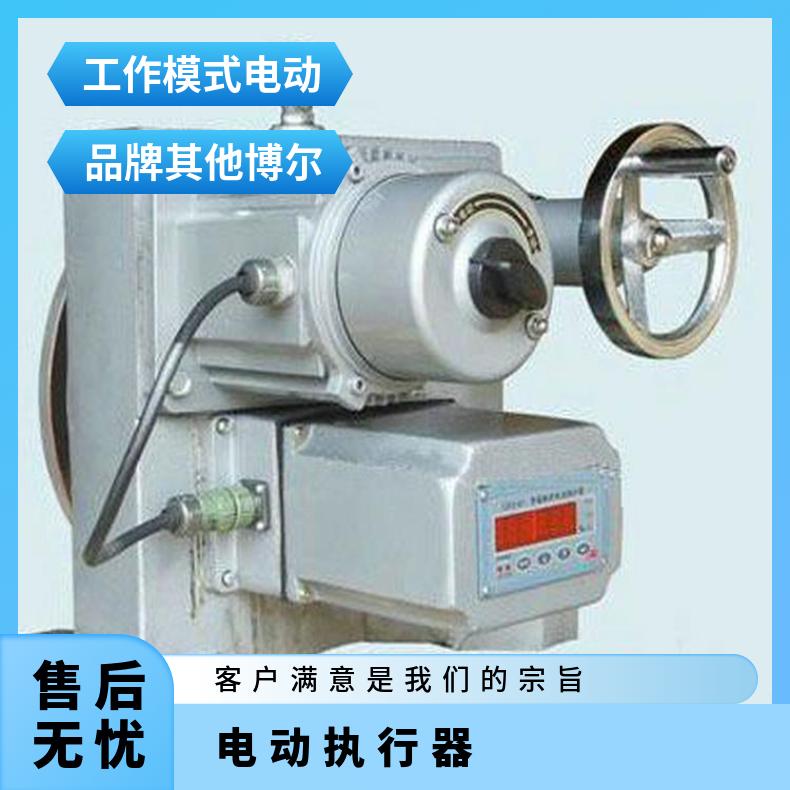 DKJ电子式电动执行器 DKJ-3100EX 其他博尔 -20℃~60 可以加工
