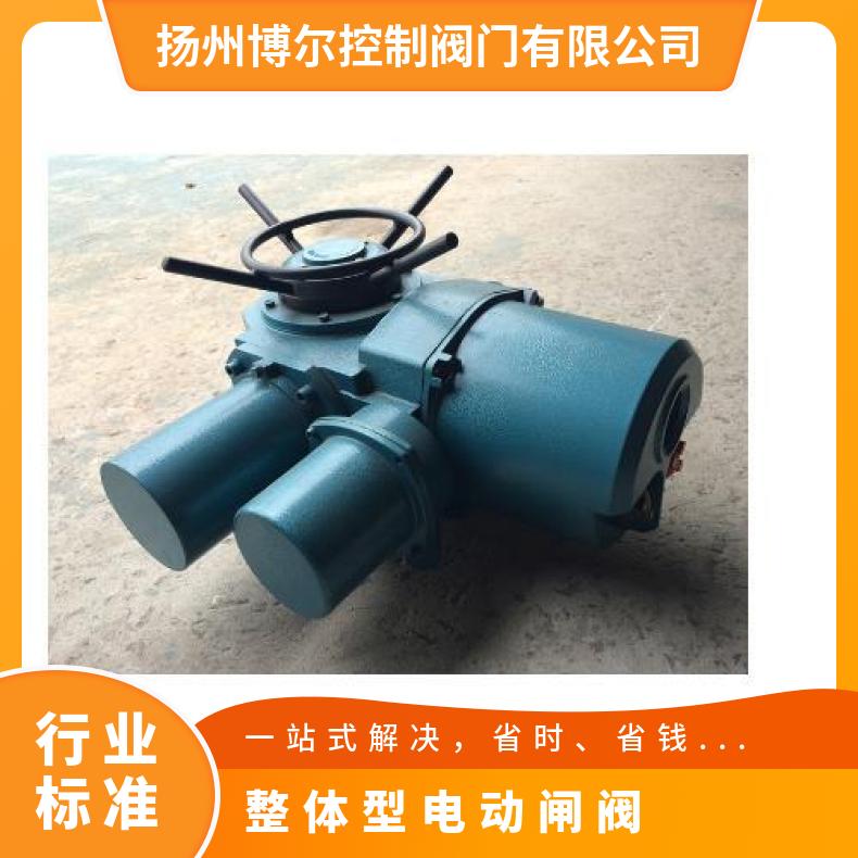 DZW2024RZ RB 整体型电动装置 2SQ30DKJ/ZKJ 其他博尔 100-1000