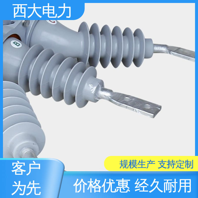 西大电力 ZW20-12F/630 体积小 重量轻 分界户外高压真空断路器