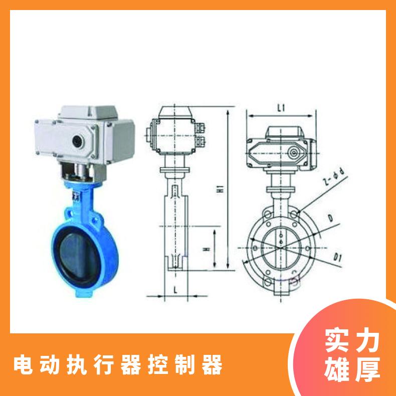 电动执行器 EOT100智能型05 控制器 210-810 90° 蝶黔